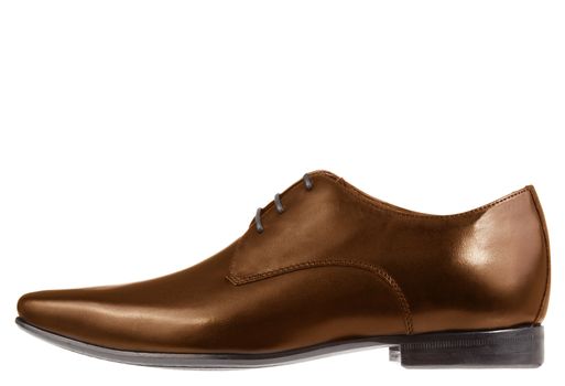 single brown formal leather shoe