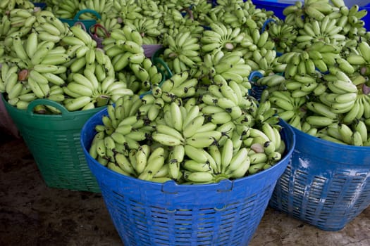 Many green bananas in basket ready to sell in market