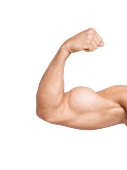 biceps isolated on white background