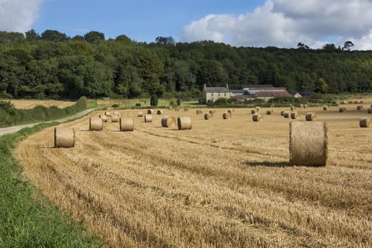 Yorkshire countryside at harvest time. Arable farmland near Hovingham in North Yorkshire in the north of England.