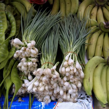 freshly harvested spring onions ready to sell at market