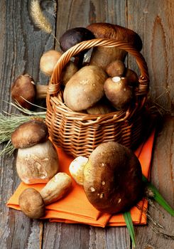 Heap of Fresh Raw Boletus Mushrooms with Dry Stems and Grass in Wicker Basket on Orange Napkin closeup on Rustic Wooden background