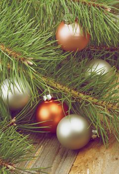 Christmas Decoration with Pastel Colored Baubles into Fluffy Green Pine Branches closeup on Rustic Wooden background. Retro Styled