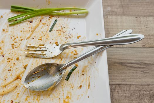 Empty dish but still has spring onion after food on the table