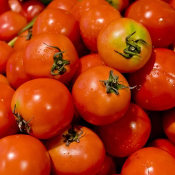 Fresh Tomatoes background