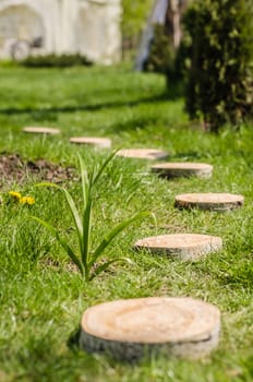 wedding decor section of tree trunk stumps on the green grass