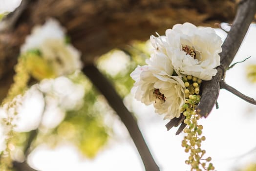 wedding decor, flowers on the tree