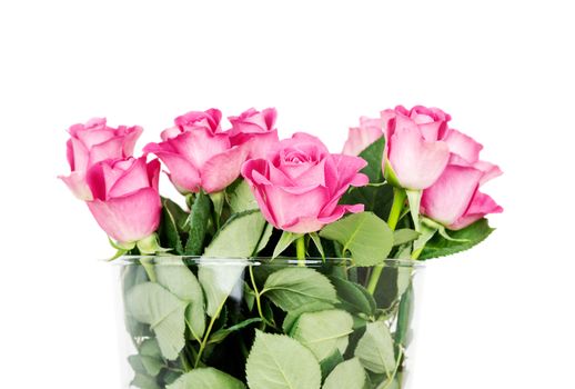 Bouquet of blossoming pink roses in vase isolated on white background