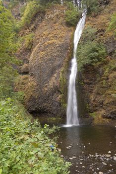 Horsetail Falls Columbia River Gorge scenic area Oregon.