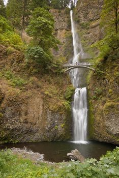 People enjoy the water at Multnomah Falls in Oregon.