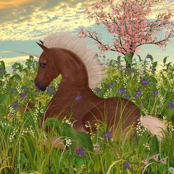 A Belgian unicorn foal lies down in a meadow full of beautiful spring flowers.