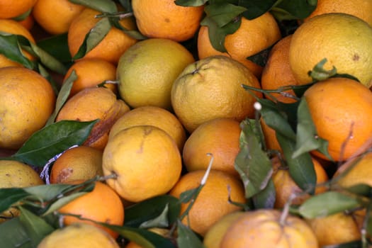 Scenes from  Peloponese in greece in the summer, Fruit on market