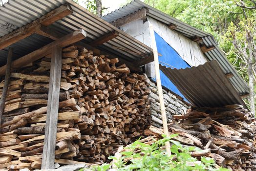 the firewood storage in village, Nepal