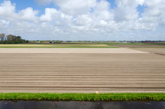 Dutch bulb field after harvest in Lisse, Netherlands