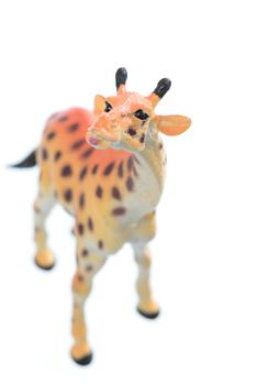 A small toy giraffe isolated on a white background.