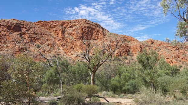 Trephina Gorge, East MacDonnell Ranges, Northern Territory, Australia