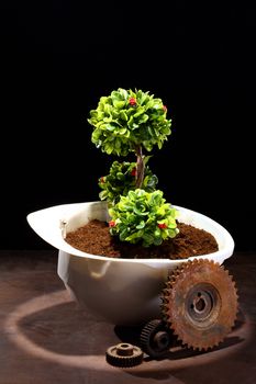 Green plant in white helmet and rusty gear on black - environmental friendly industry concept