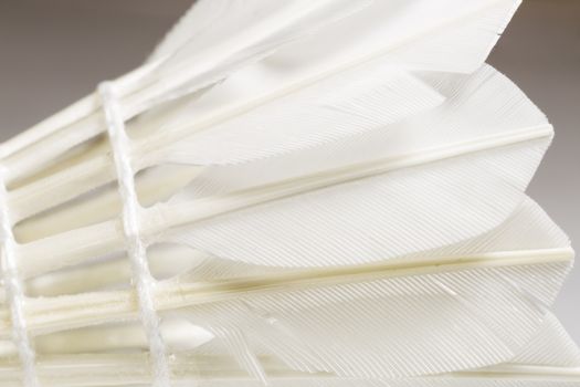 Feathered White Shuttlecock. Macro image.