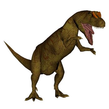 Allosaurus dinosaur roaring isolated in white background - 3D render
