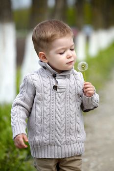 2 years old Baby boy with dandelion in spring park