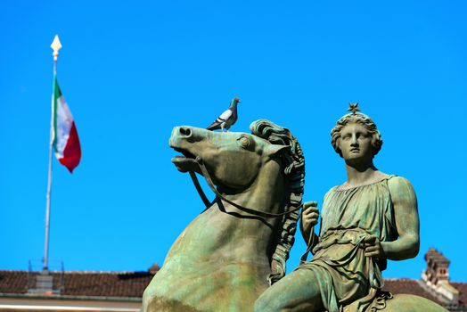 Equestrian statue of Pollux, in the Royal Palace (Palazzo Reale) in Turin (Torino), Piedmont (Piemonte), Italy