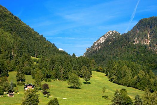 Alpine landscape with forest and green meadows in Valbruna, small village near Tarvisio, Friuli Venezia Giulia, Italy