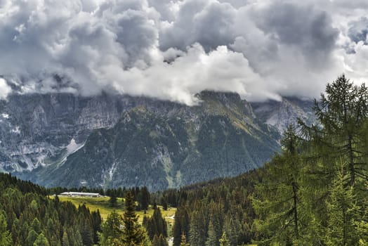 Landscape on the forest, mountains and clouds of Dolomiti di Brenta, Trentino - Italy