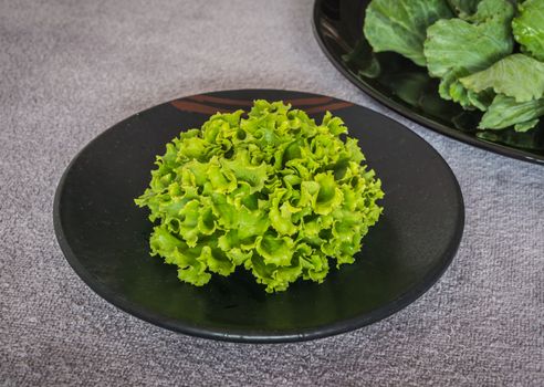 garnish green lettuce as a blossom