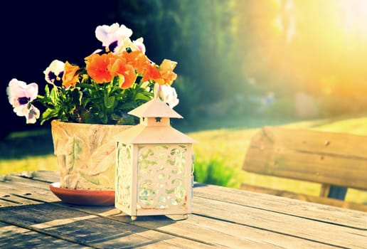 Nature in summer. Flowers and the lantern on the wooden table batched in summer sunlight.