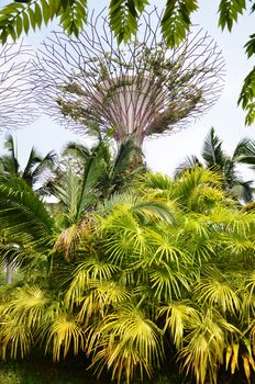 SINGAPORE- SEP 5: View of Gardens by the Bay on September 5, 2015. in Singapore. Gardens by the Bay is a park spanning 101 hectares of reclaimed land.