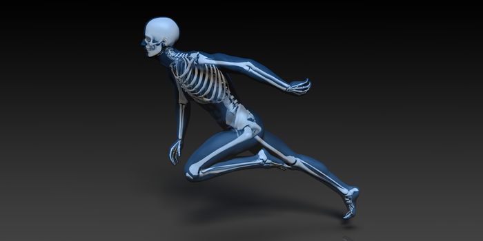 Medical Illustration of Human Body and Bones as Art