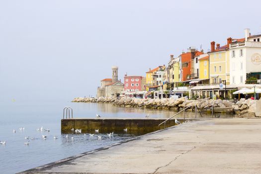 old town Piran - beautiful Slovenian adriatic coast