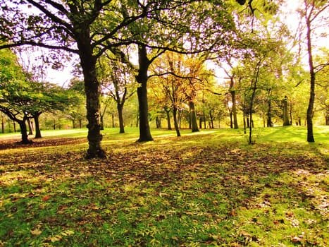 A colourful Autumn landscape.