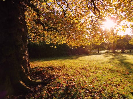 A colourful Autumn scene.