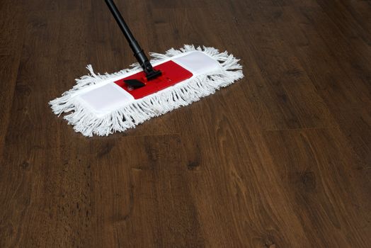 The mop on the parquet floor during cleaning