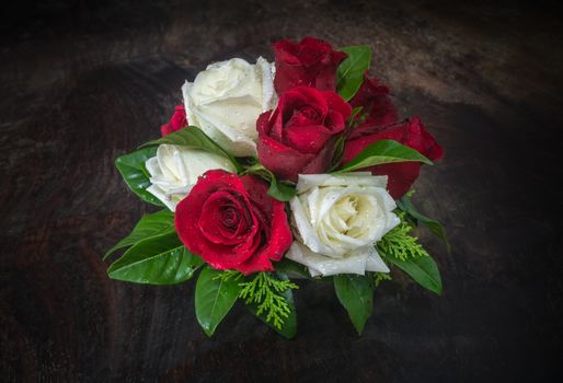 red and white rose with various leaves on dark tone wooden background







red and white rose with various leaves