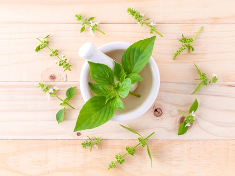 The circle of lemon basil( hairy  basil ) leaf and flower on wooden background.