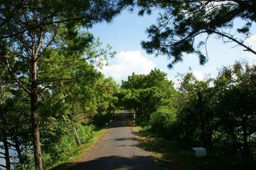 Bien Ho tourist area, ecotourism with big lake, pine forest around, green landscape, fresh air, people rowing boat on Bienho pond, Gia Lai, Vietnam