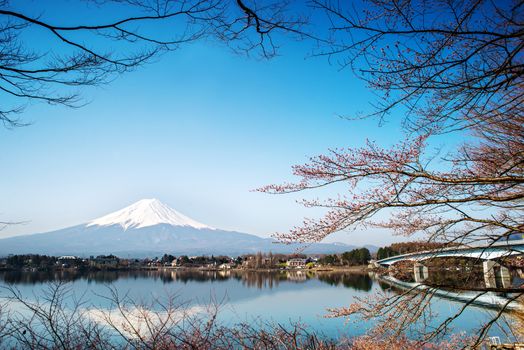 Mount fuji at Lake kawaguchiko