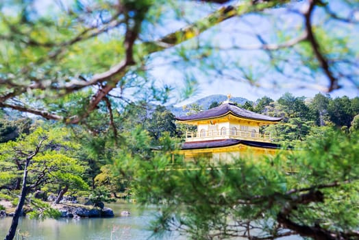 KYOTO, JAPAN - APRIL 14 2014: Old Japanese golden castle, Kinkakuji Temple (The Golden Pavilion)