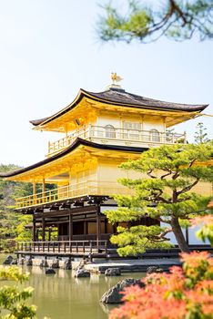 KYOTO, JAPAN - APRIL 14 2014: Old Japanese golden castle, Kinkakuji Temple (The Golden Pavilion)
