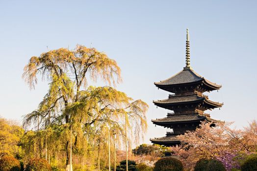 Kyoto, Japan at Toji temple in summer