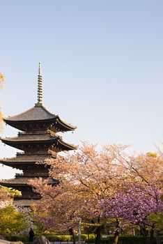 Kyoto, Japan at Toji temple in summer