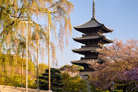 Kyoto, Japan at Toji temple in summer