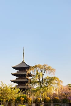 Kyoto, Japan at Toji temple in summer