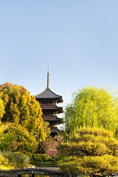 Kyoto, Japan at Toji temple in summer