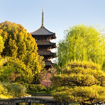 Kyoto, Japan at Toji temple in summer