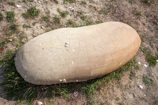 Detail of a rock called Trovant - The Living and Growing Stones of Romania