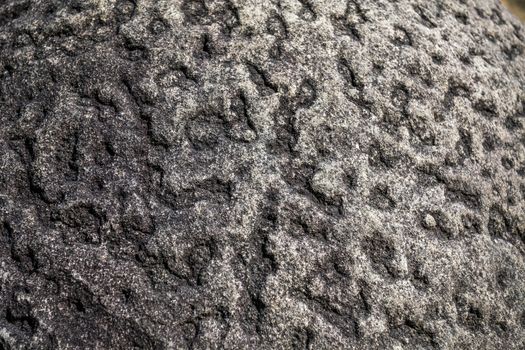 Detail of a rock called Trovant - The Living and Growing Stones of Romania