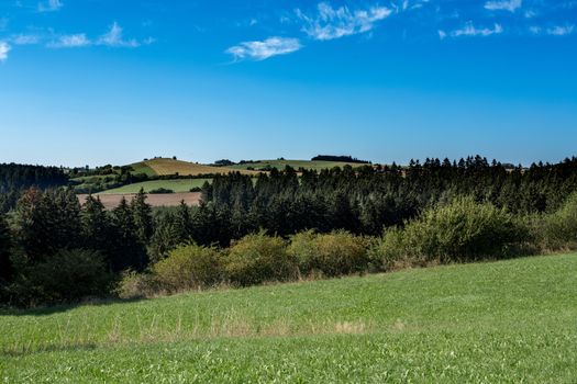 rural summer landscape in czech Republic - region Vysocina